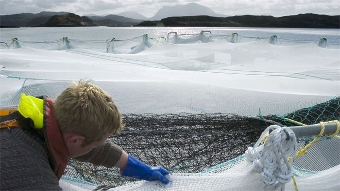 Fergus Ewing announces £8.5m in funding for aquaculture