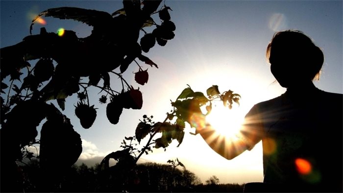 UK Minsters announce post-Brexit immigration scheme for farm workers