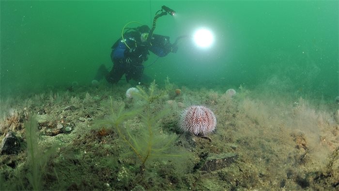 Scottish universities launch research programme on marine environment and climate change