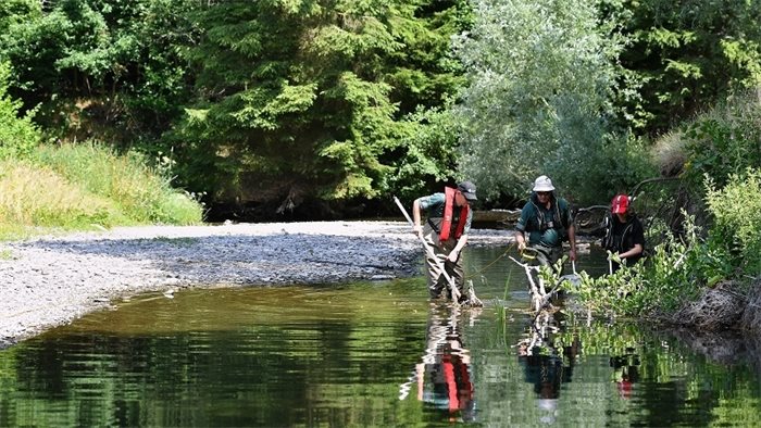 Green campaigners push for dedicated Environment Act for Scotland