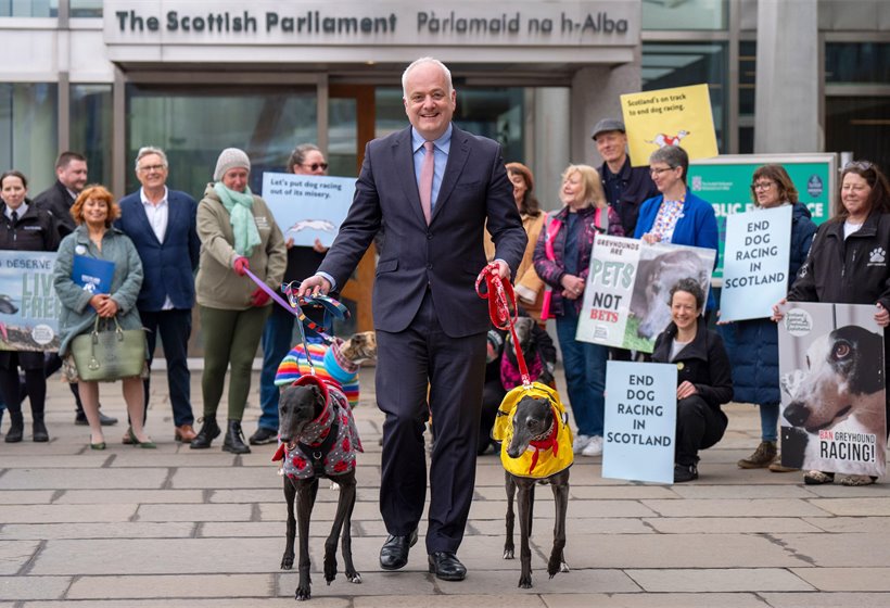 Rural affairs committee supports general principles of greyhound racing ban, but consensus not reached