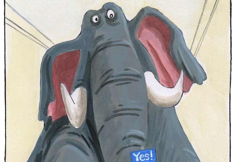 Sketch: Jenny Gilruth addresses the elephant in the room
