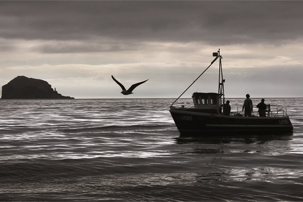 Value of fish landings up by 25 per cent in 2016