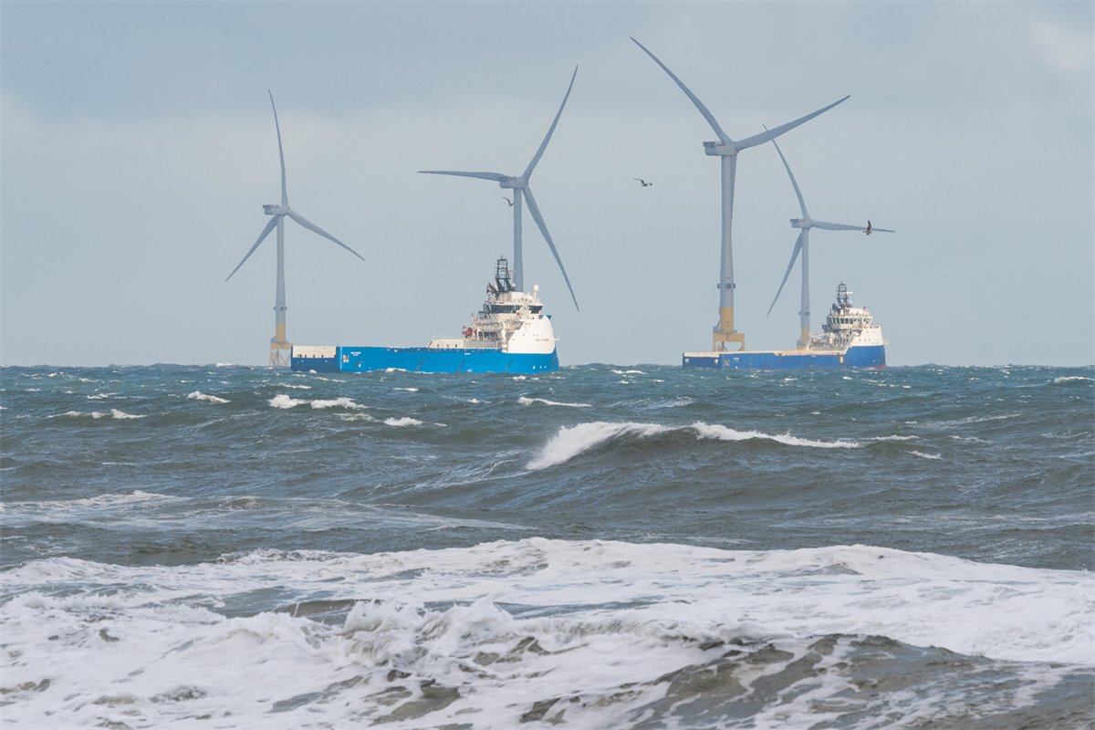 Ai Powered Tech Could Tackle Underwater Noise Pollution Ai Powered Tech Could Tackle Underwater Noise Pollution