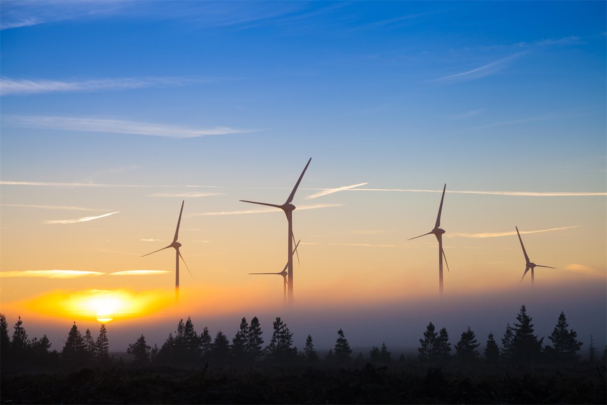 Community energy With a fair wind