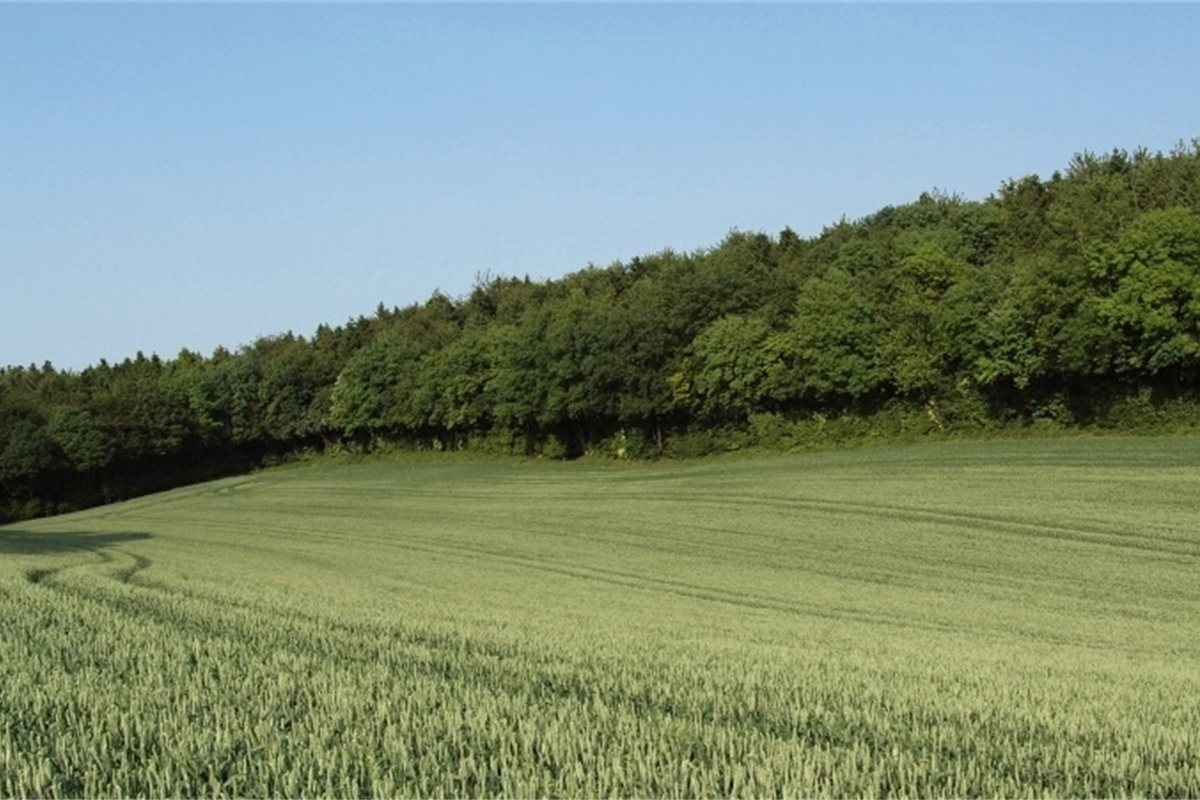 Scottish Land Commission launches new guidance on engagement over land