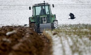 No deal Brexit would be an 'absolute disaster' for Scottish farming, NFU Scotland warns