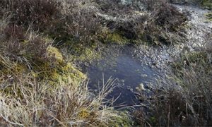 Scottish Government announces £11m funding to restore Scotland’s peatland