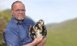 Golden eagle adopted by Green MSP Andy Wightman disappears in Highland Perthshire