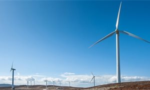 Renewables support needed to fight climate change, warns SNP