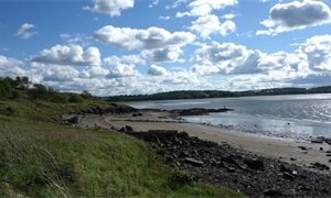 Nearly three quarters of UK beaches littered with plastics