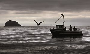 Brexit deal for fisheries like ‘a pint of cold sick’, Conservative MP Douglas Ross says