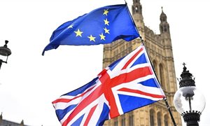 UK Government unable to protect every industry from the damage done by a no deal Brexit, warns Institute for Government