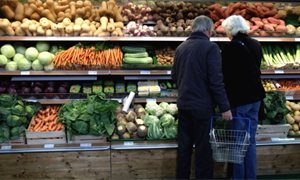 Consultation opens on proposed bill to give Scots a legal right to food