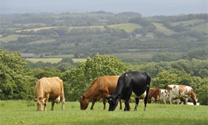 Prime Minister warned not to 'betray' farmers as post-Brexit talks with Australia intensify