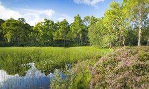NatureScot launches next phase of £1.25m digital project to improve access to information on protected natural areas