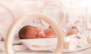 SNP MP tables bill to establish neonatal leave scheme
