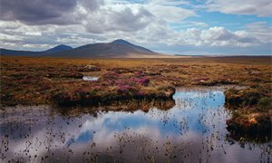 CivTech Scotland launches Innovate for Nature on Finance Day at COP27