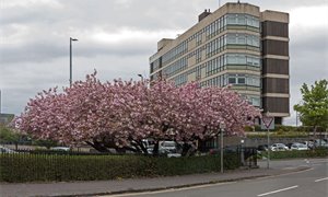 North Lanarkshire Council U-turns on decision to close facilities