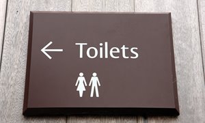 Scottish Parliament changes toilet provision after Supreme Court ruling