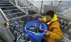 Scottish Government anger over EU-UK trade deal