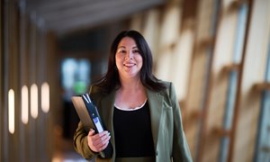 'A vital opportunity': MSPs urged to back Ecocide Bill