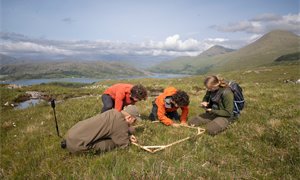 Drones drops could help rewilding in Scotland, trial suggests
