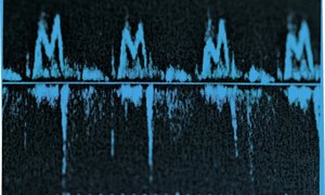 Associate Feature: Echoing warnings