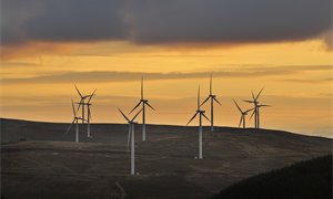 Renewable energy sources overtake coal in global energy mix