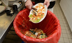Edinburgh-based tech start-up creates trading platform for food waste