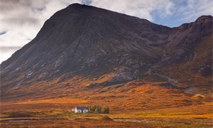 Scottish Affairs Committee launches inquiry into rural digital connectivity  