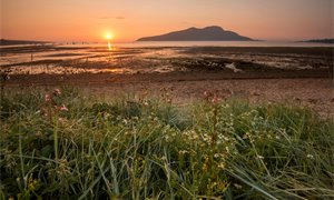 Scotland needs to do better on environmental protection