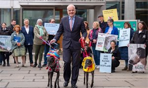 Rural affairs committee supports general principles of greyhound racing ban, but consensus not reached