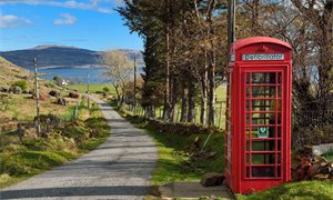 Bridging the survival divide