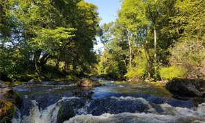 The Cost of Inaction to the Scottish Public Purse: Why Restoring Nature Is Now an Economic Necessity for Scotland
