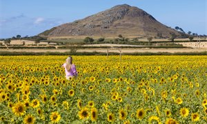 Supporting the growth of our rural economy and events sector
