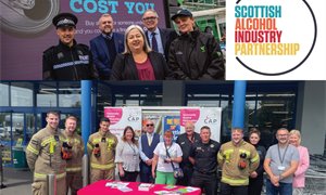 Progress on Alcohol Problems made possible through Partnerships