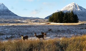 Francesca Osowska appointed Scottish Natural Heritage chief executive