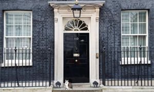 Downing Street rejects opportunity to meet Caribbean officials to discuss rights of Windrush generation