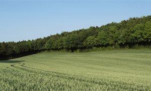 Ministers should do more to make public bodies aware of legal duties on biodiversity, MSPs recommend