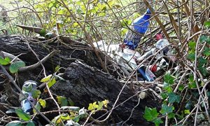 Scottish Tories call to increase littering fine to £100